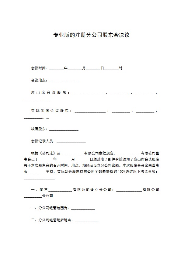 专业版的注册分公司股东会决议