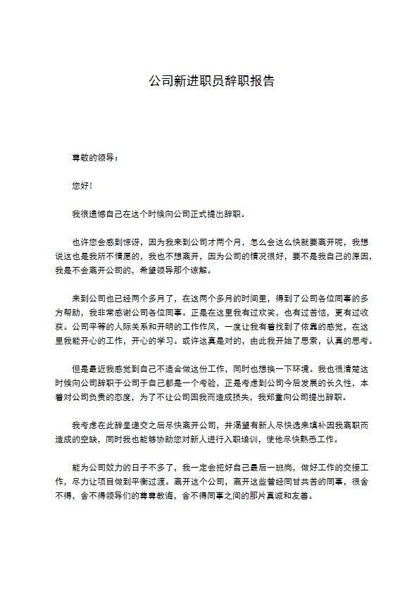 公司新进职员辞职报告