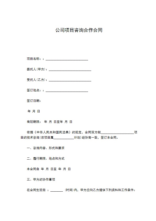 公司项目咨询合作合同