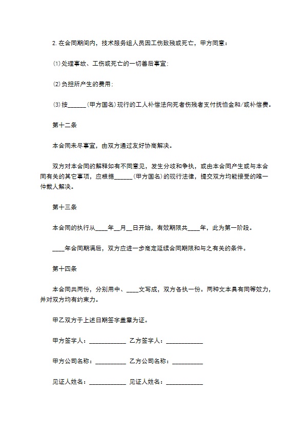 网络科技公司国际技术服务合同