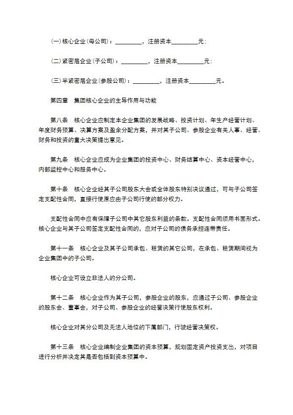 大型集团企业章程