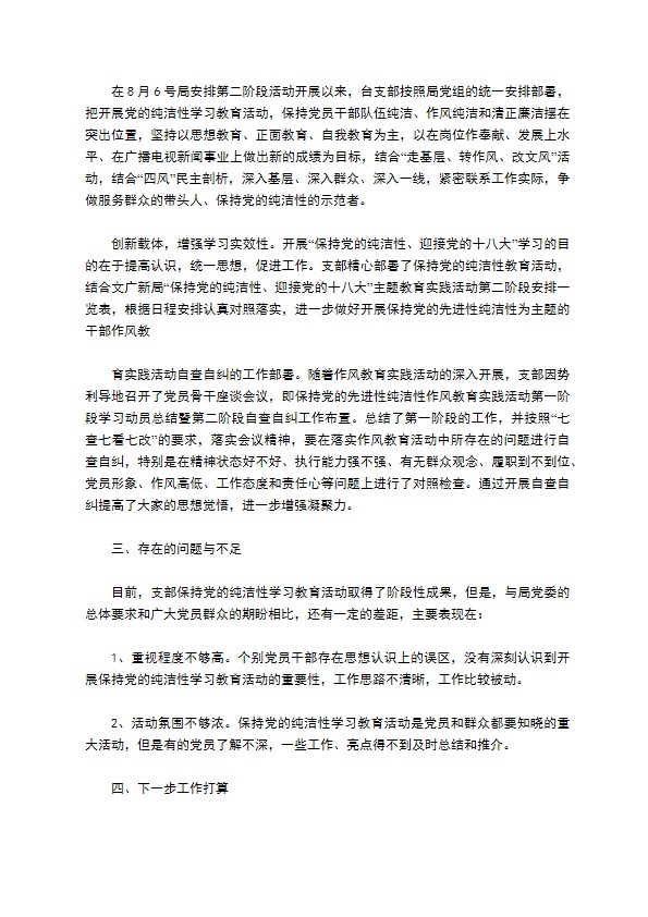 保持党的先进性纯洁性第二阶段工作总结