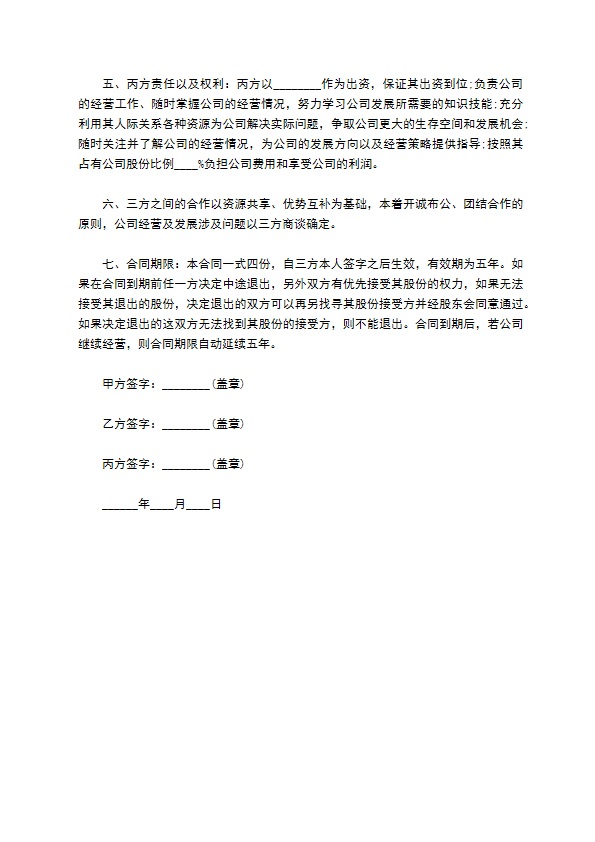 网络科技公司合作协议